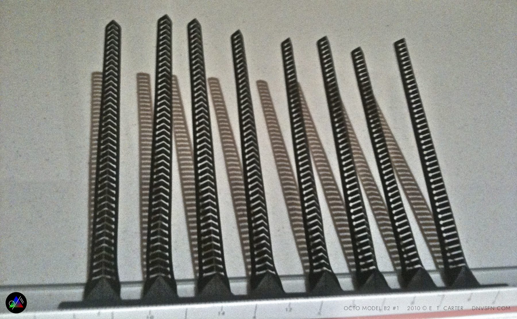 Eight legs plotter-cut and laid out to scale.