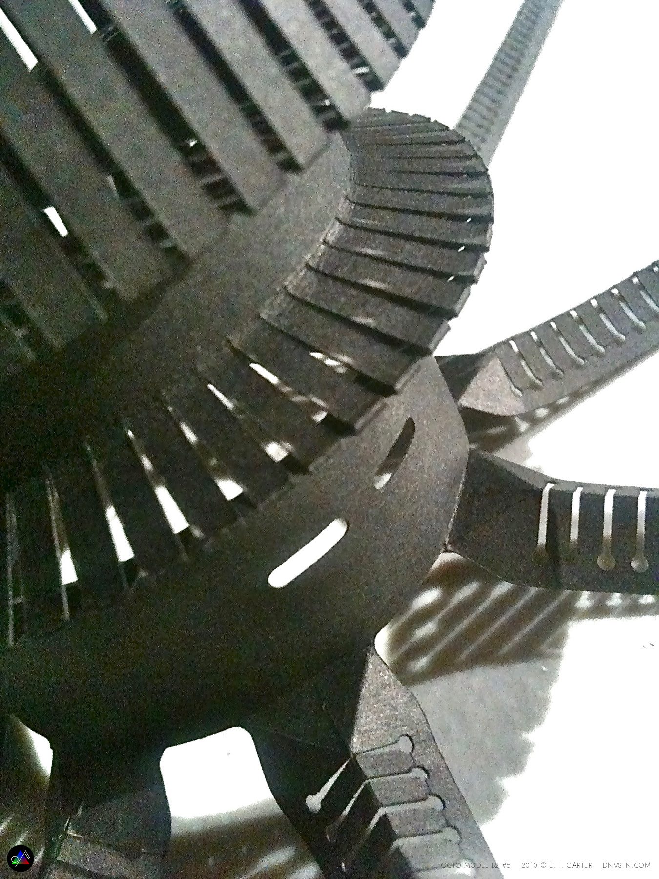 The ribbed core from above.