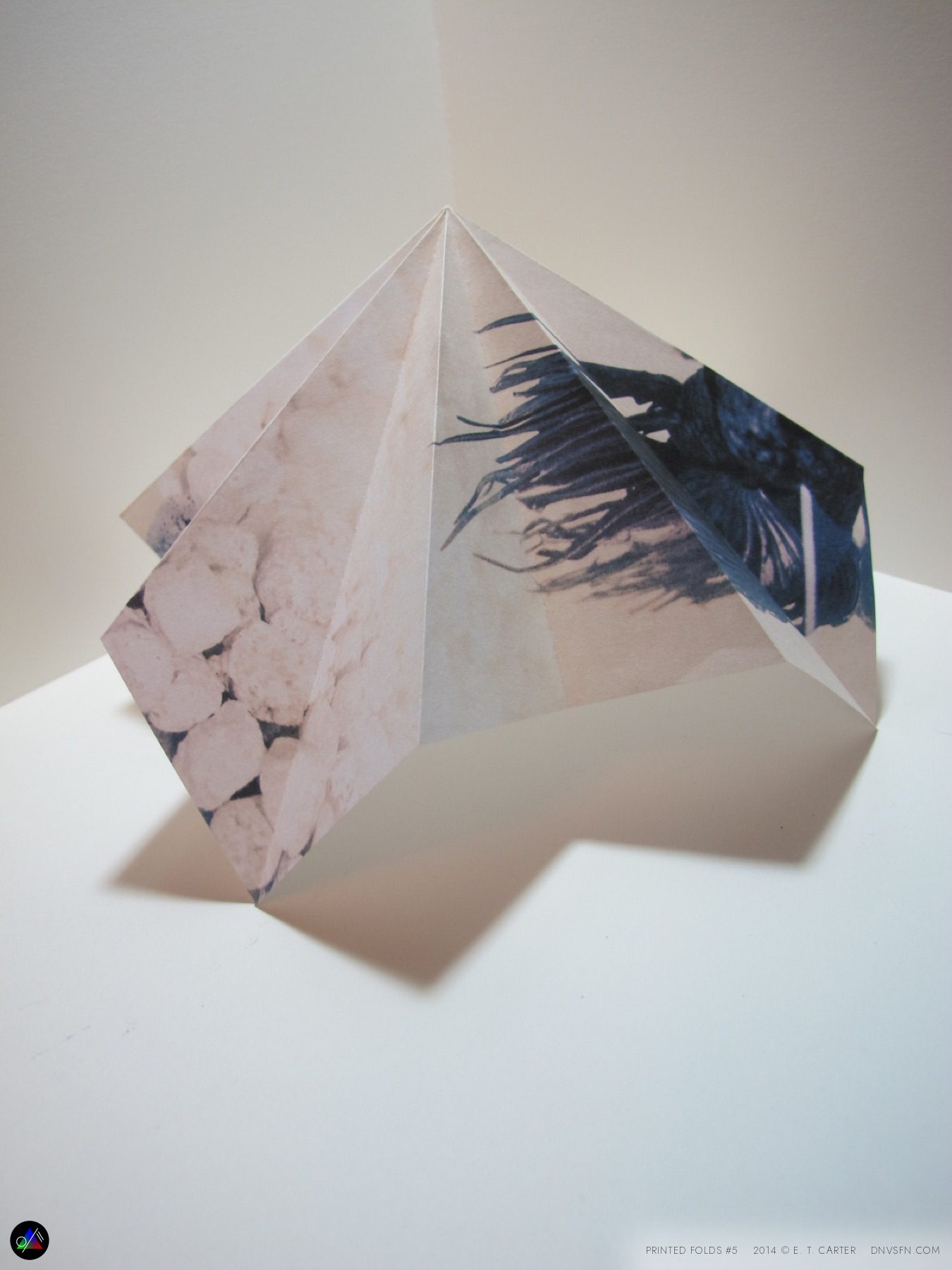 Photographic print, folded.
