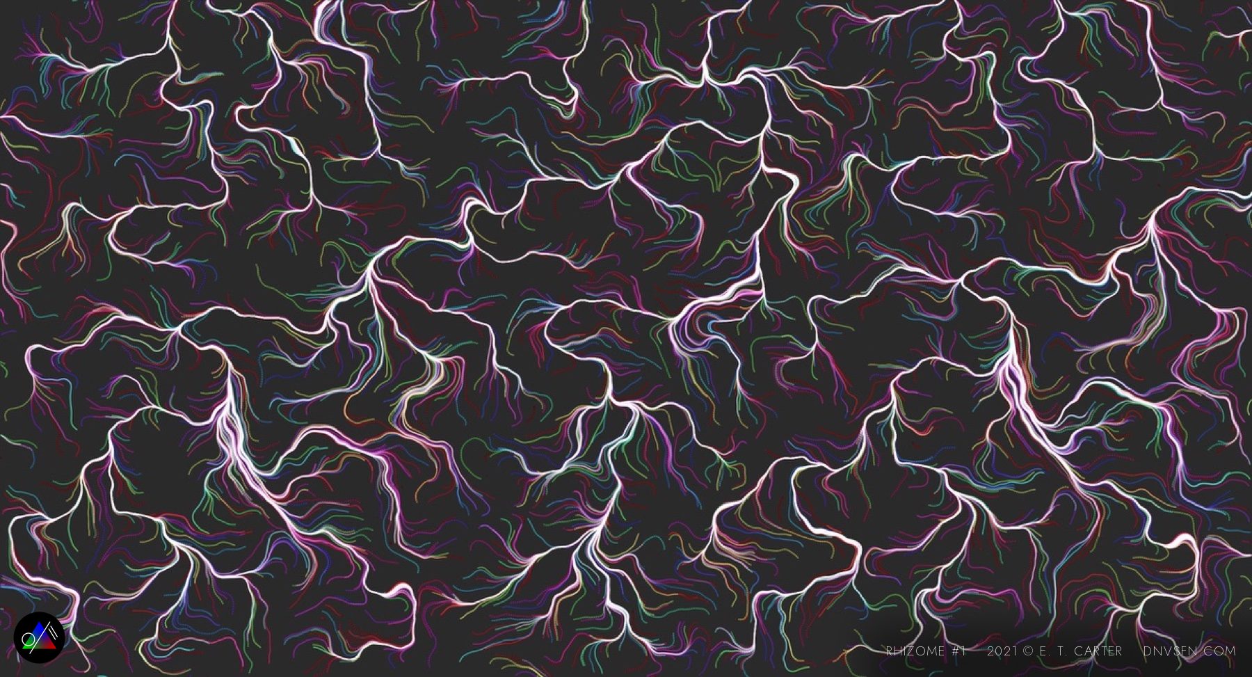 Vein network, full field.