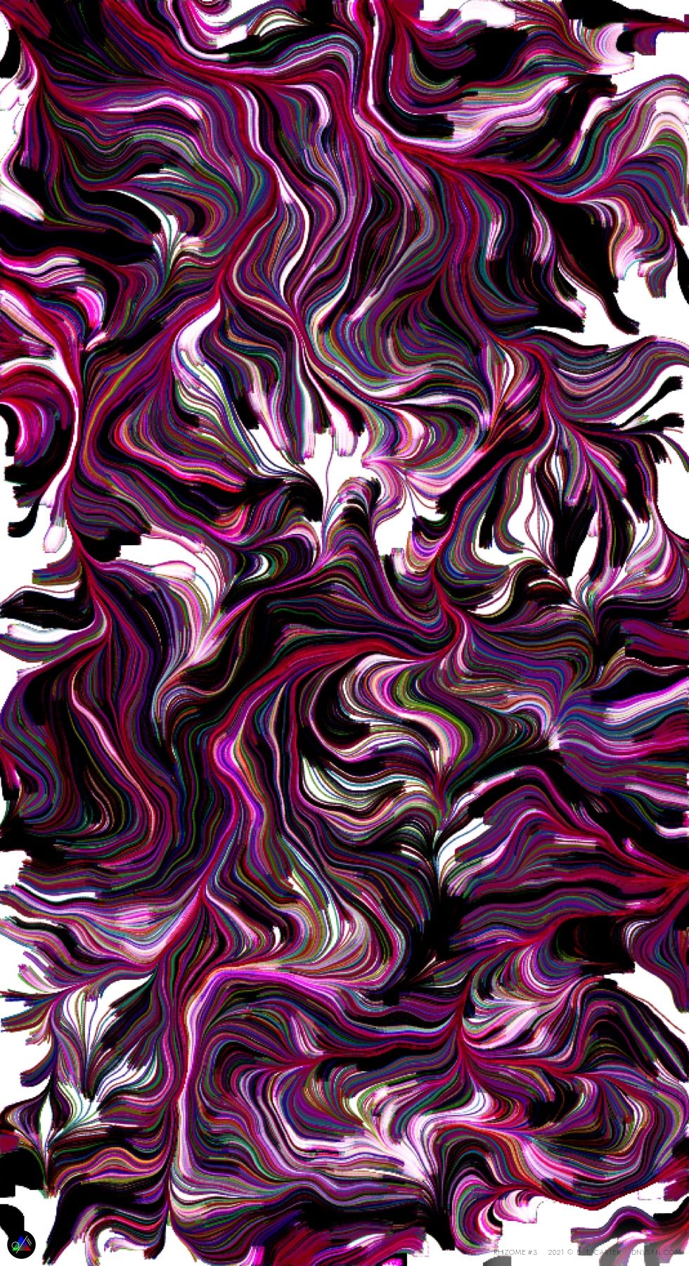 Magenta root tangle.